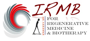 logo IRMB