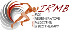 Logo IRMB 2024